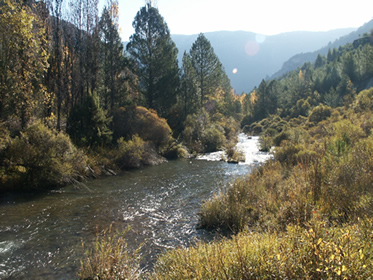 Viaje al Parque Natural de Cazorla, Segura y las Villas